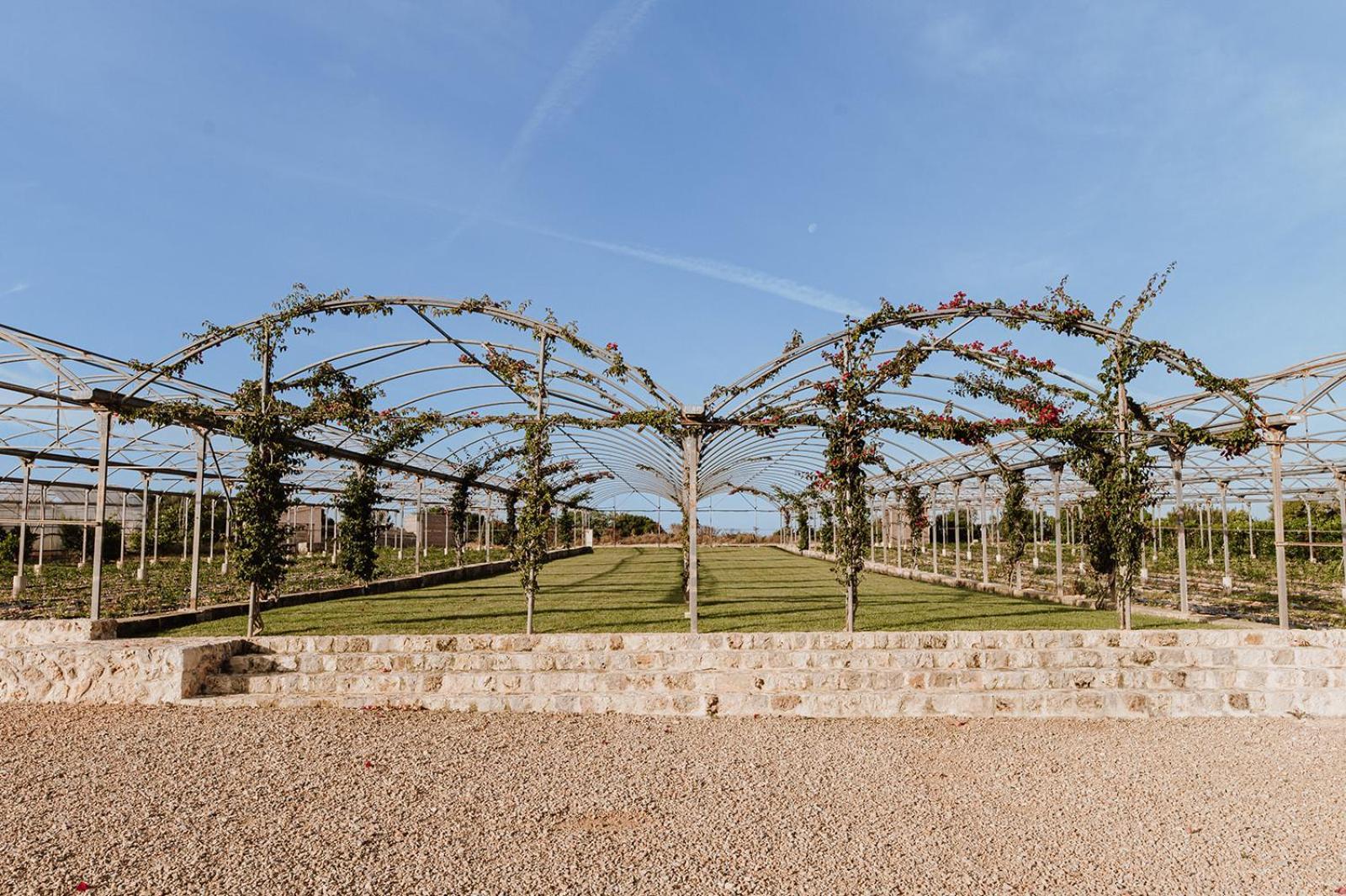 Sa Talaia Blanca Villa Muro Eksteriør bilde