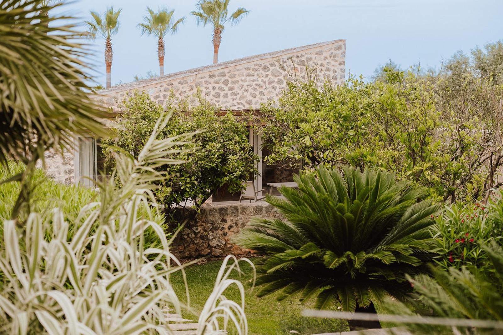 Sa Talaia Blanca Villa Muro Rom bilde